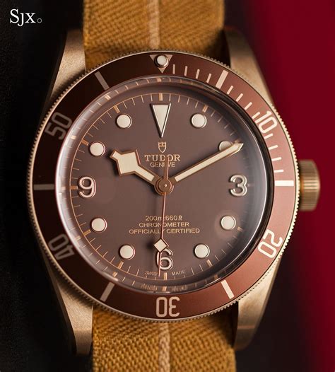 Tudor Heritage Black Bay Bronze 